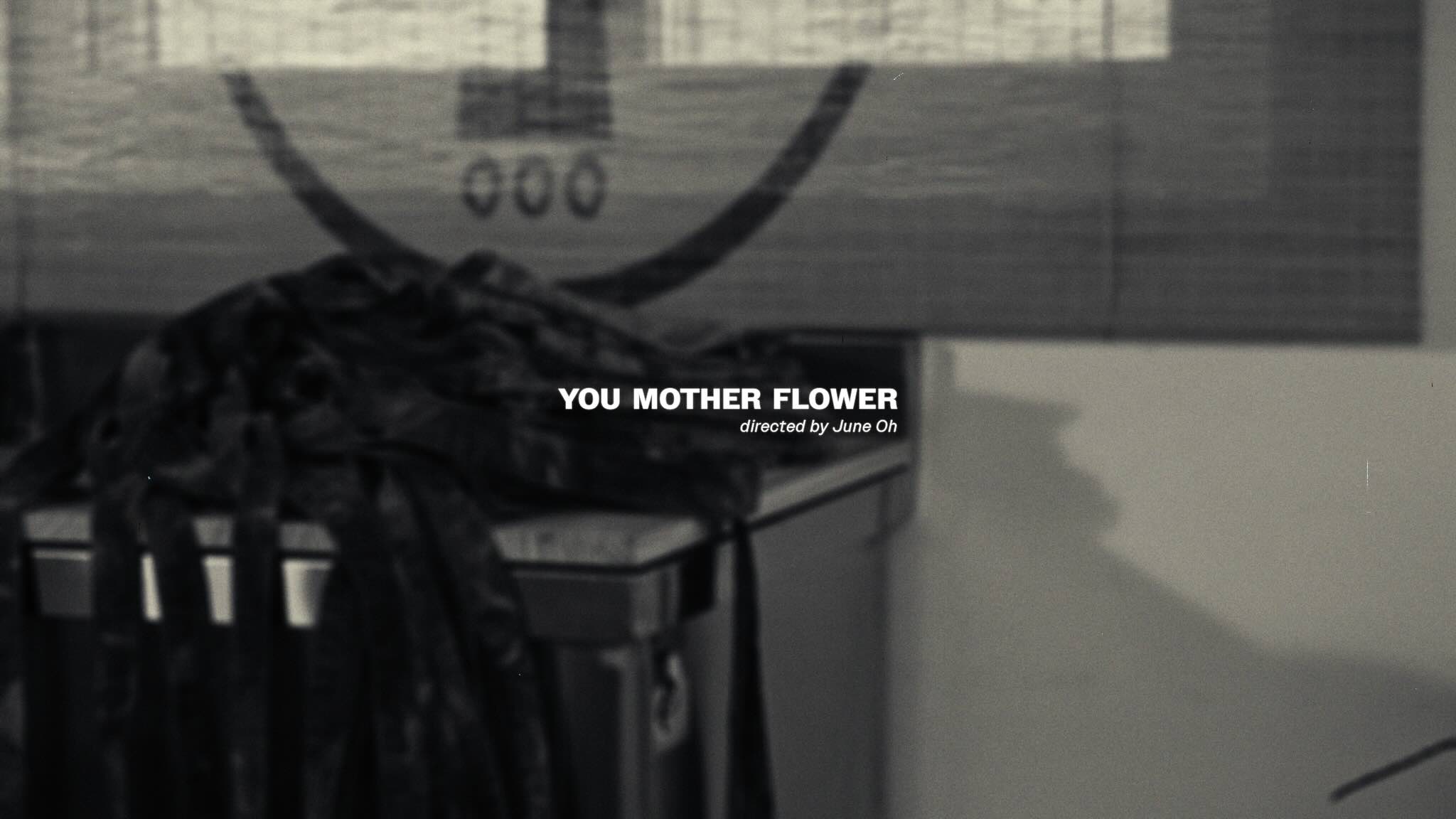 YMF Brand Film Frame 4
